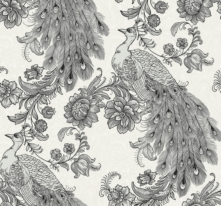 Seabrook Designs Peacock Ivory & Ebony Wallpaper HG12200