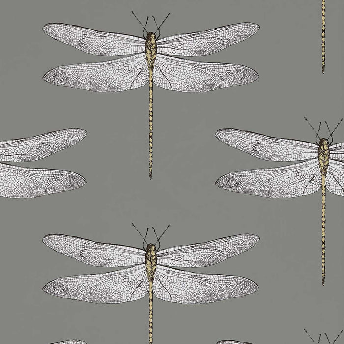 Harlequin Demoiselle Graphite/Almond 111242 Wallpaper Sample HGAT111242