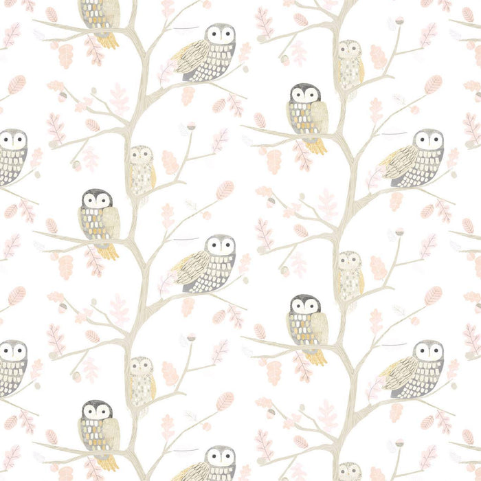 Harlequin Little Owls Powder 112628 Wallpaper Sample HLTF112628