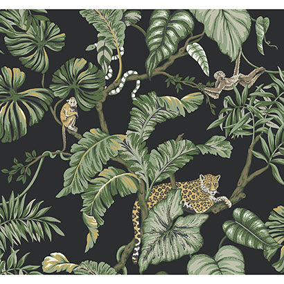 York Jungle Cat Black Wallpaper HO2143