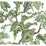 York Jungle Cat White Wallpaper HO2145