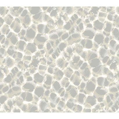 York Leopard Rosettes Grey Wallpaper HO2163