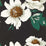 Harlequin Paeonia Black Earth/Fig Leaf/ Gold 112841 Wallpaper Sample HQN2112841