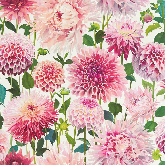 Harlequin Dahlia Blossom/Emerald/New Beginnings 112843 Wallpaper Sample HQN2112843