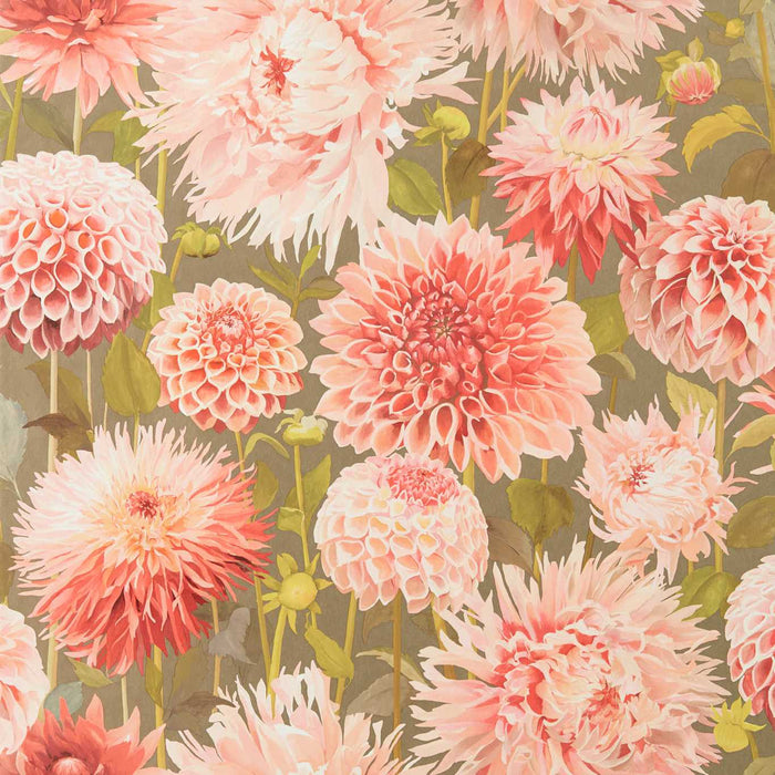 Harlequin Dahlia Coral/Fig Leaf/Gilver 112845 Wallpaper Sample HQN2112845