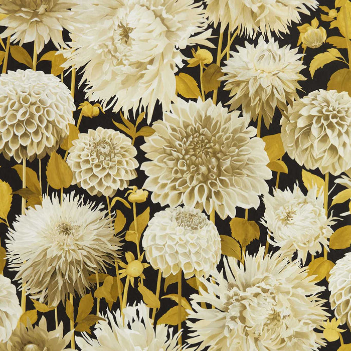 Harlequin Dahlia Fig Blossom/Nectar/Black Earth 112846 Wallpaper Sample HQN2112846