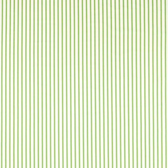 Harlequin Ribbon Stripe Peridot Fabric HSRF133987