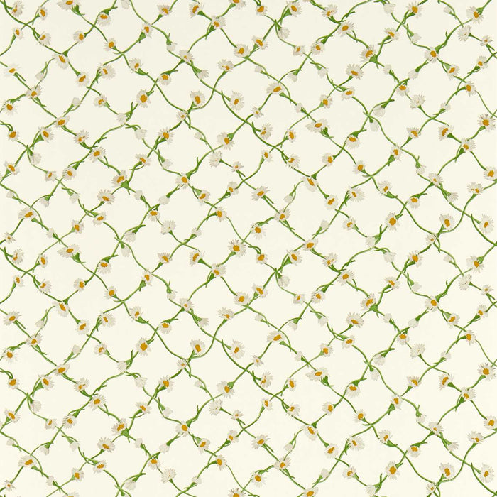 Harlequin Daisy Trellis Emerald/Pearl Wallpaper HSRW113043