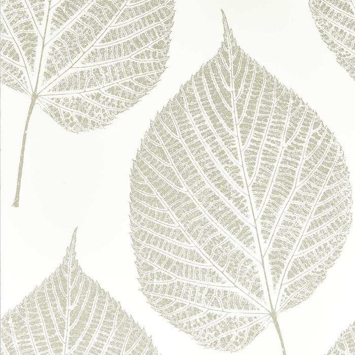 Harlequin Leaf Chalk/Silver 112609 Wallpaper Sample HTEW112609