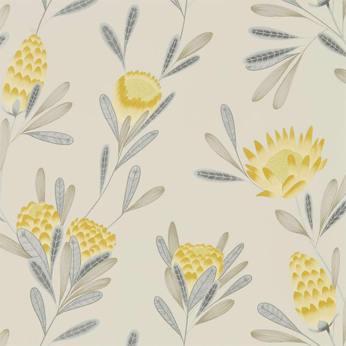 Harlequin Cayo Ochre/Linen 111774 Wallpaper Sample HZAP111774