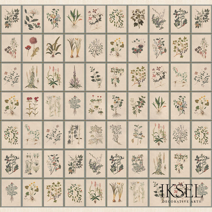 Schumacher Renaissance Herbier Original Wallpaper IK7400