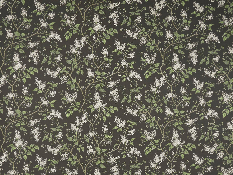 Braquenie Les Lilas Terre Wallpaper Sample BP354004