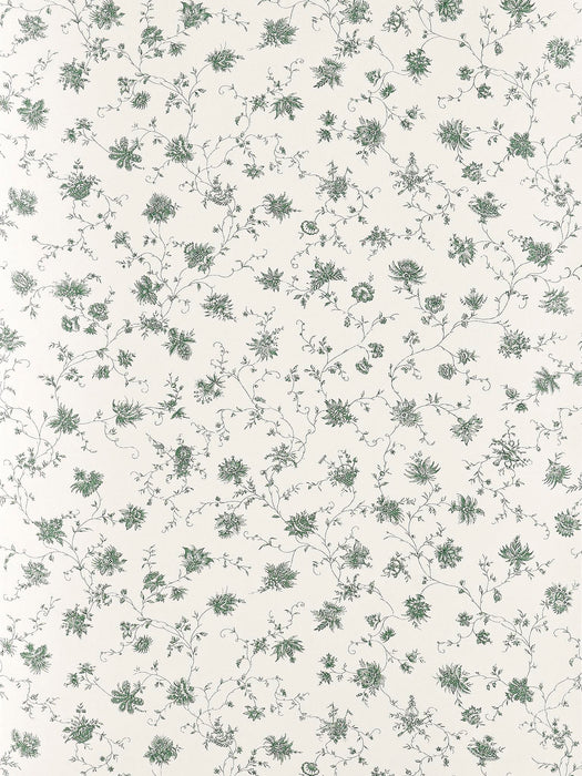 Braquenie La Discrete Vert Wallpaper Sample BP361002