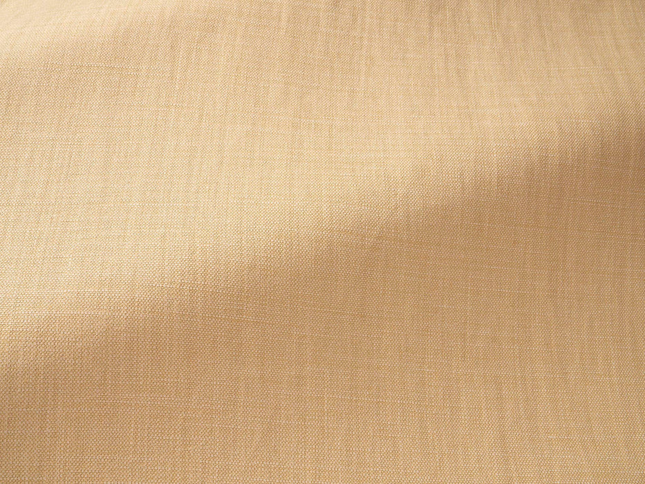 Pierre Frey Shabby Blond Fabric Sample F2484109