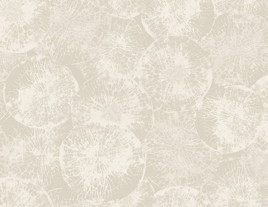 Seabrook Designs Eren Dove Grey Wallpaper JP10707