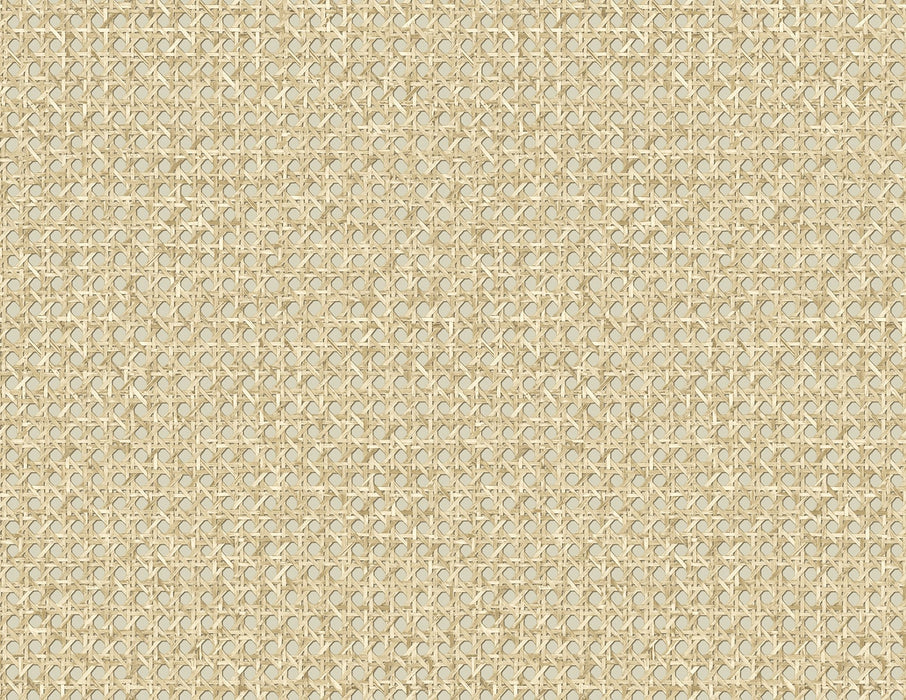 Seabrook Designs Mika Hemp Wallpaper Sample JP11205