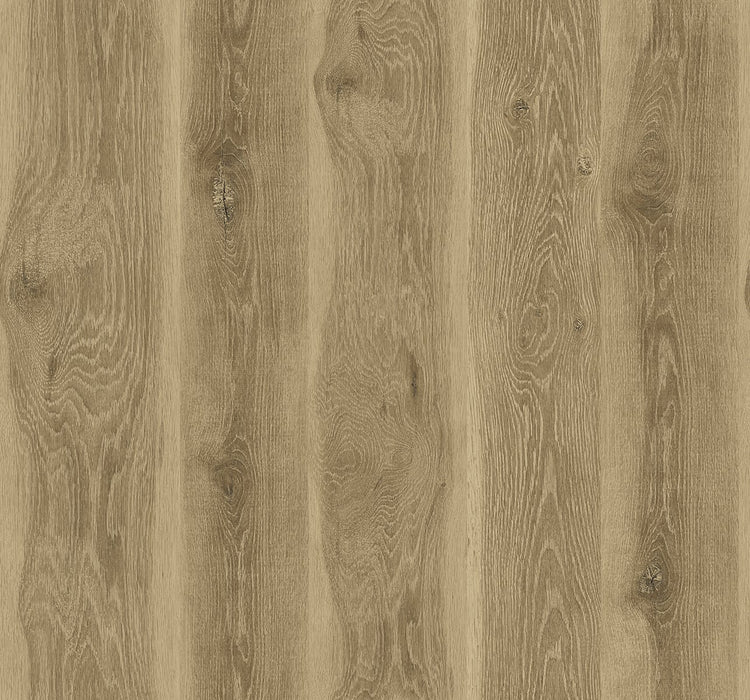 Seabrook Designs Kieri Walnut Wallpaper Sample JP11307