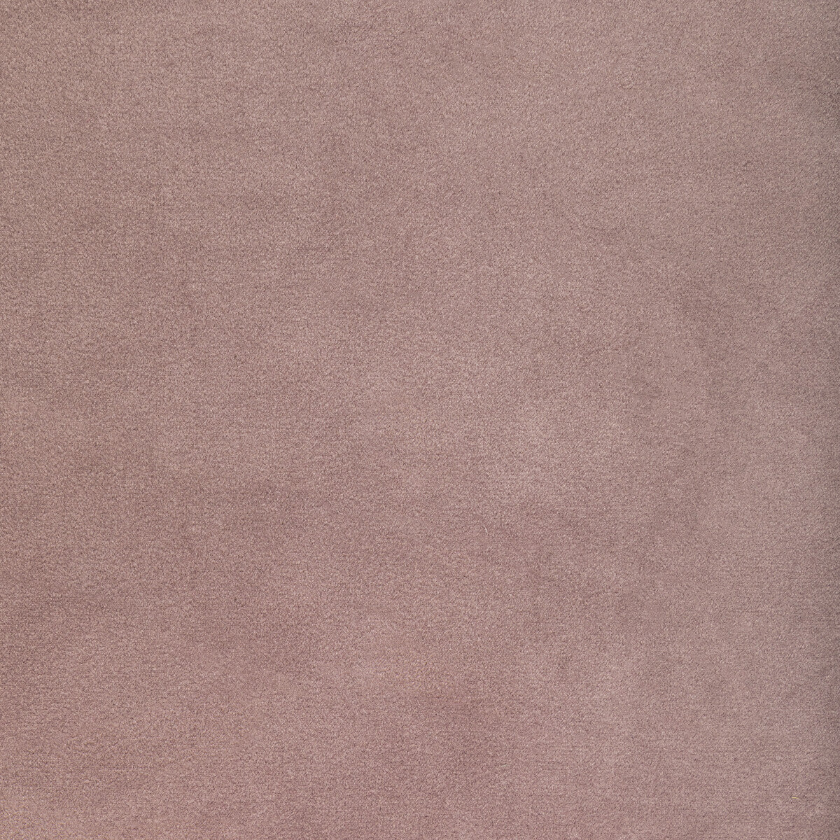 Kravet Contract Rocco Velvet Wisteria Fabric Sample KW-10065.110.0