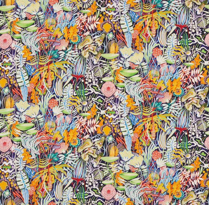 Pierre Frey Salvador Multicolore Fabric F3088001