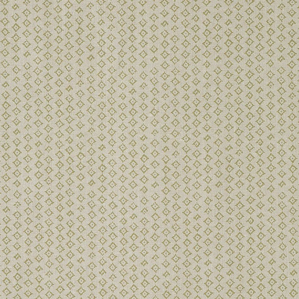 Peter Dunham Kumbh Celadon/Natural Fabric Sample 111KMB01