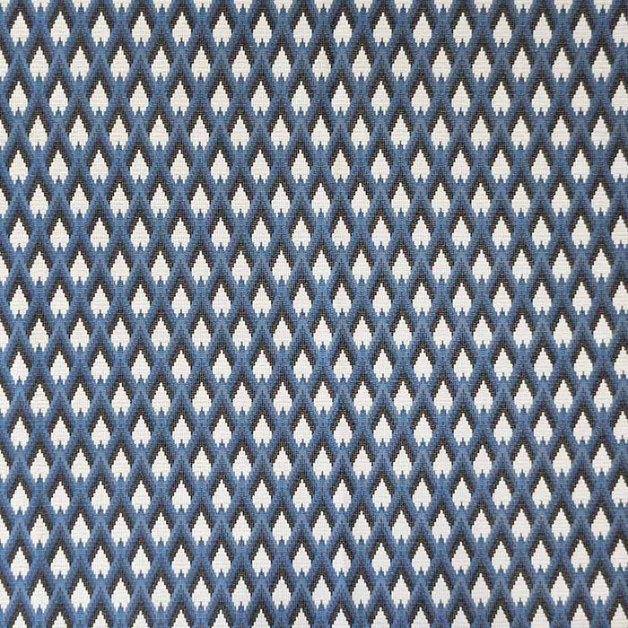 Gaston Y Daniela Peruyes Azul Fabric Sample LCT1078.003.0