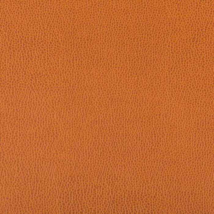 Kravet Contract Lenox Marmalade Fabric Sample LENOX.424.0