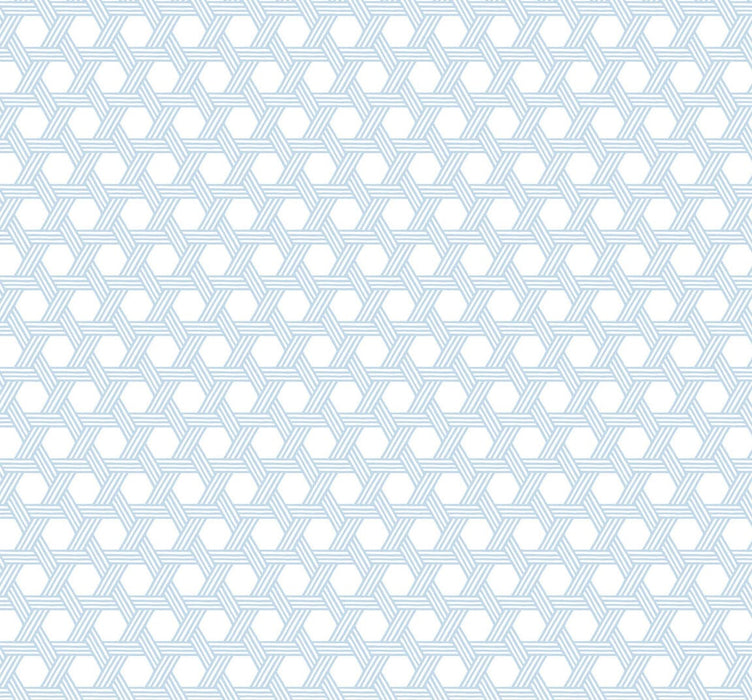 Seabrook Designs Cabana Wicker Carolina Blue And Eggshell Wallpaper LN10202