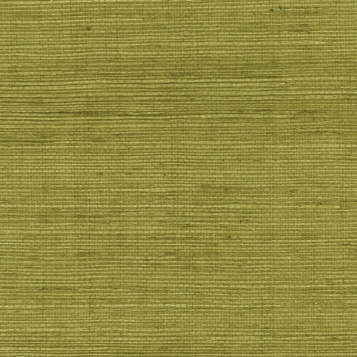 Seabrook Designs Sisal Grasscloth Olive Wallpaper LN11804