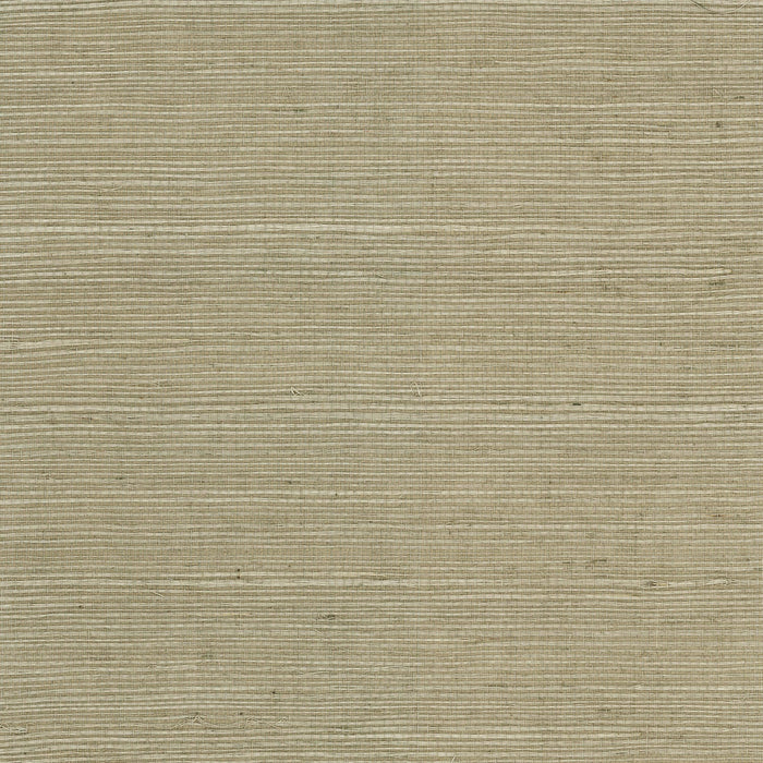 Seabrook Designs Sisal Grasscloth Wheat Grass Wallpaper Sample LN11805