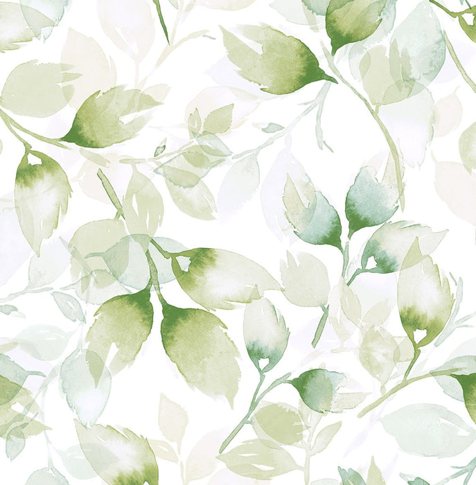 Seabrook Designs Watercolor Tossed Leaves Green Ivy Wallpaper LN31104