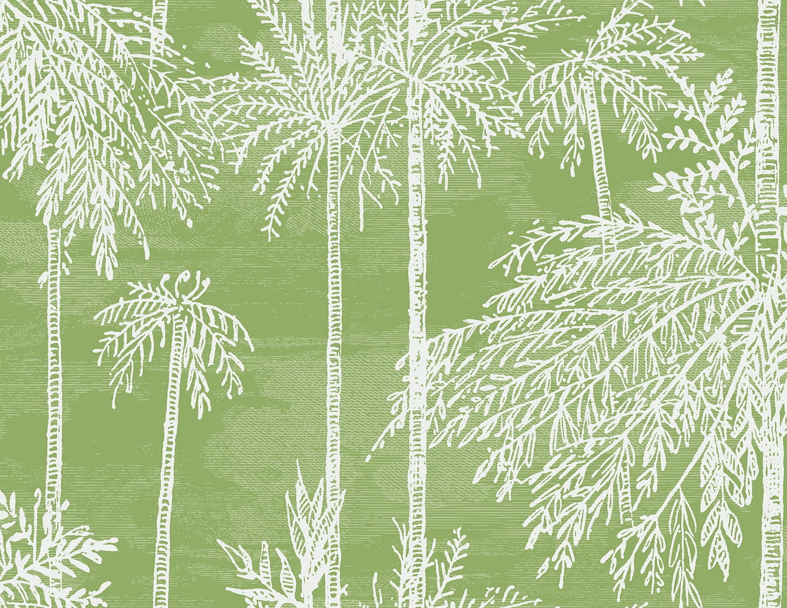 Seabrook Designs Palm Grove  Summer Fern Wallpaper LN40204