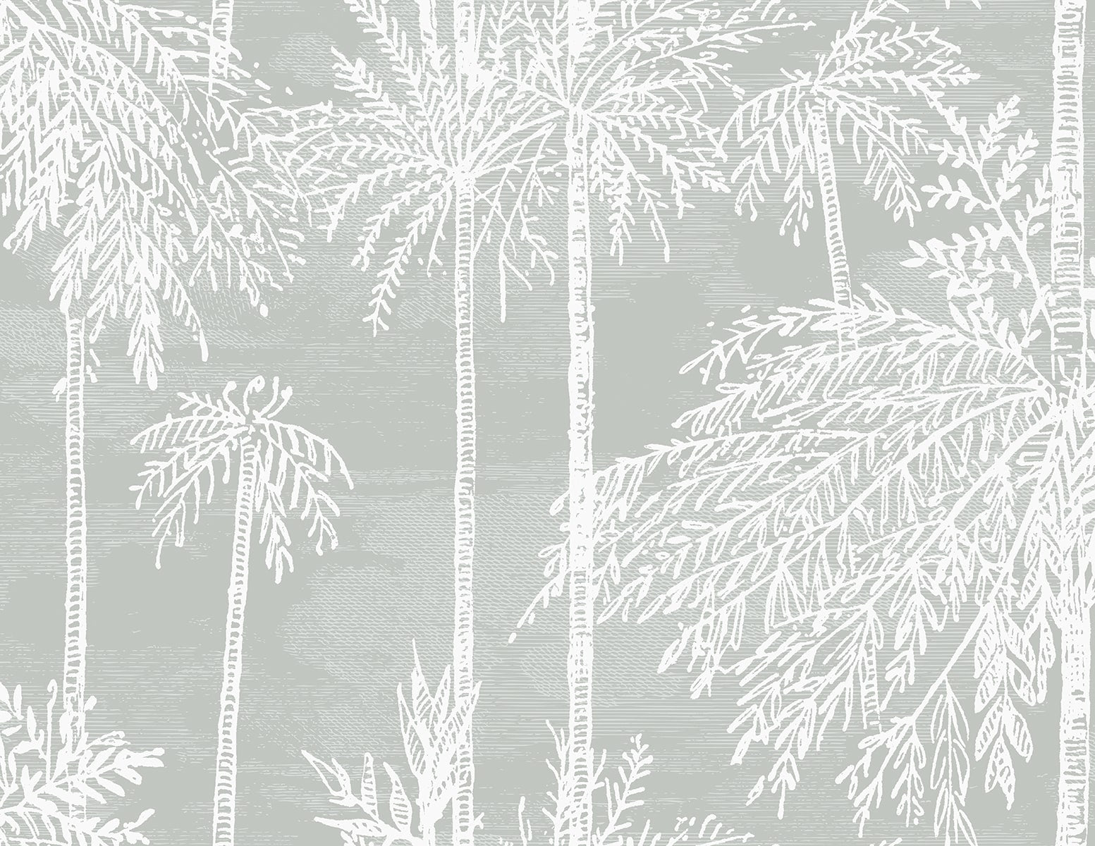 Seabrook Designs Palm Grove  Misty Wallpaper Sample LN40208