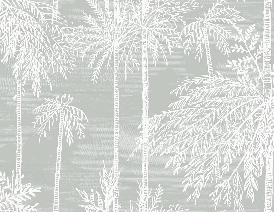 Seabrook Designs Palm Grove  Misty Wallpaper LN40208