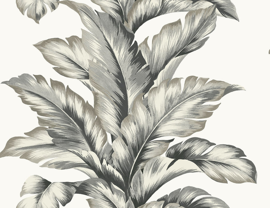 Seabrook Designs Banana Springs  Greystone Wallpaper Sample LN40600