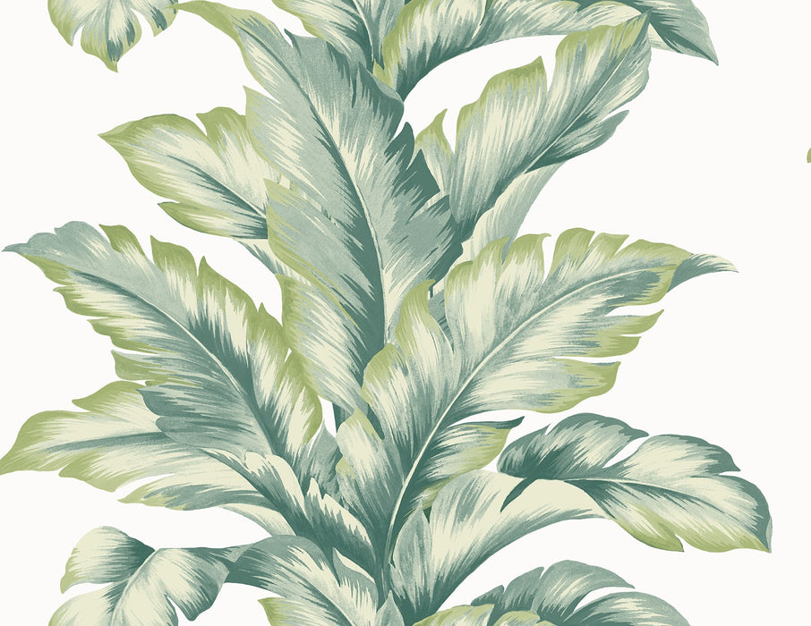 Seabrook Designs Banana Springs  Rivercrest Wallpaper Sample LN40604