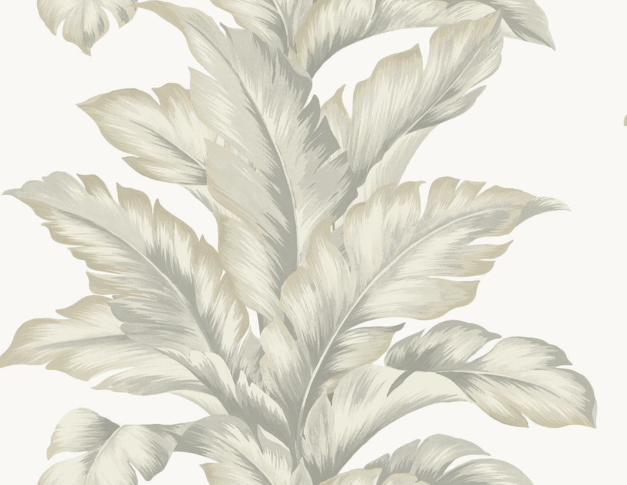 Seabrook Designs Banana Springs  Fieldstone Wallpaper Sample LN40607