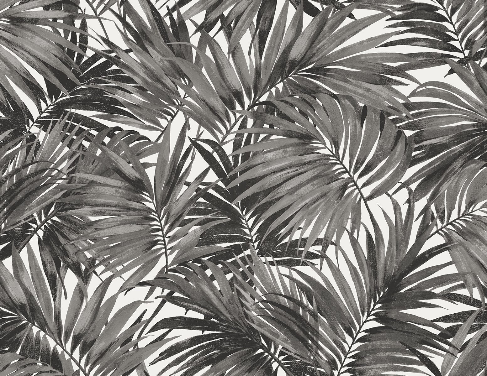 Seabrook Designs Cordelia Tossed Palms Onyx Wallpaper LN40700