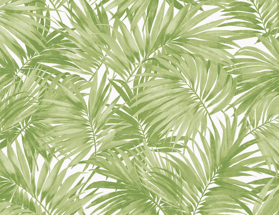 Seabrook Designs Cordelia Tossed Palms Spring Green Wallpaper LN40704