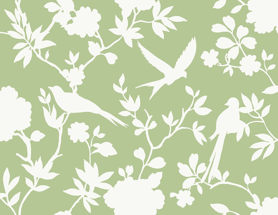 Seabrook Designs Kauai Bird Toile Seacrest Green Wallpaper LN40904