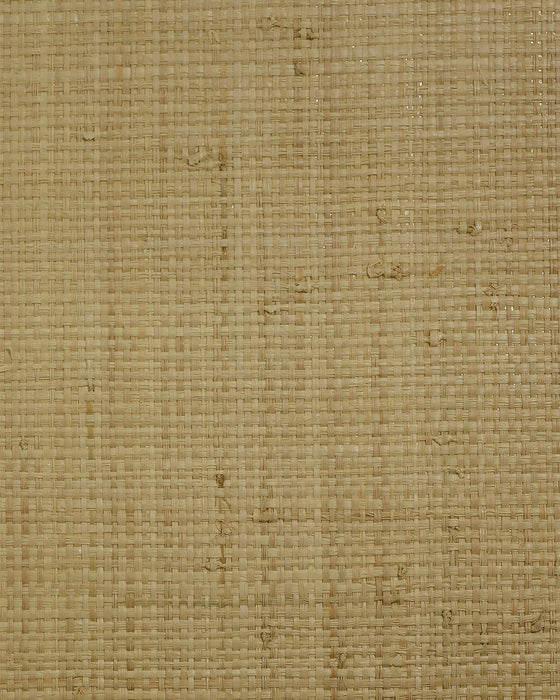 Seabrook Designs Raffia (100%) Tan Wallpaper Sample LN50040