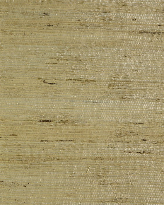 Seabrook Designs Arrowroot Beige Wallpaper Sample LN50041