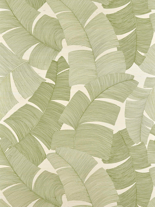 Pierre Frey Tikehau Palmier Wallpaper FP975003