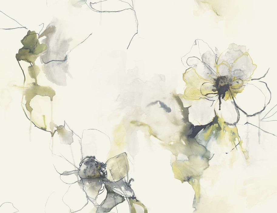 Seabrook Designs Anemone Watercolor Floral Dark Ash And Canary Wallpaper Sample LW50007