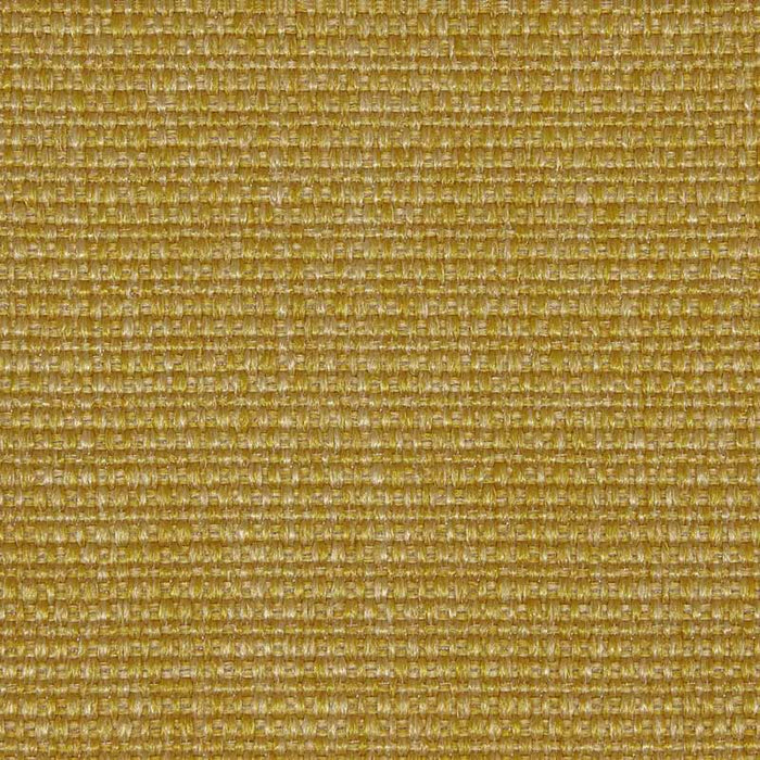 Kravet Design Camelia 5 Fabric Sample LZ-30346.05.0