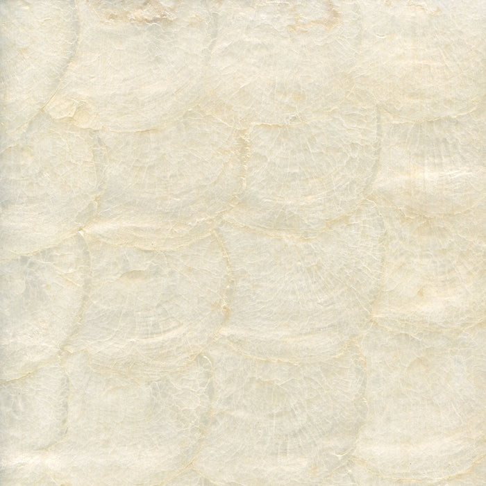 Maya Romanoff Flexi Mother of Pearl Aphrodite Oyster Wallpaper Sample MR-MAS-11