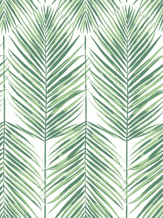 Seabrook Designs Paradise Palm Greenery Wallpaper Sample MB30034