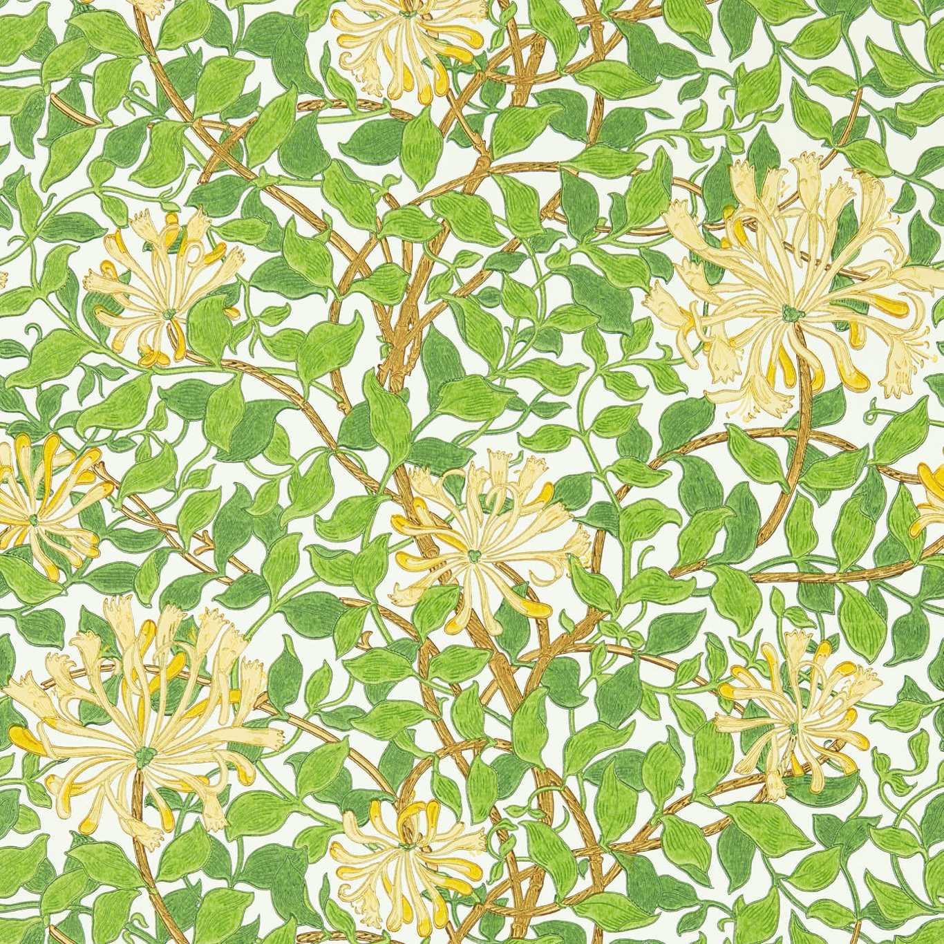 Morris & Co Honeysuckle Cream/Chocolate 217095 Wallpaper Sample MCOW217095