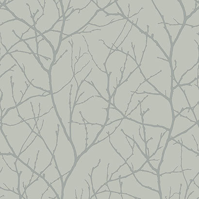 York Trees Silhouette Eucalyptus & Silver Wallpaper MD7124