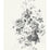 Magnolia Home Tea Rose Black & White Wallpaper ME1534