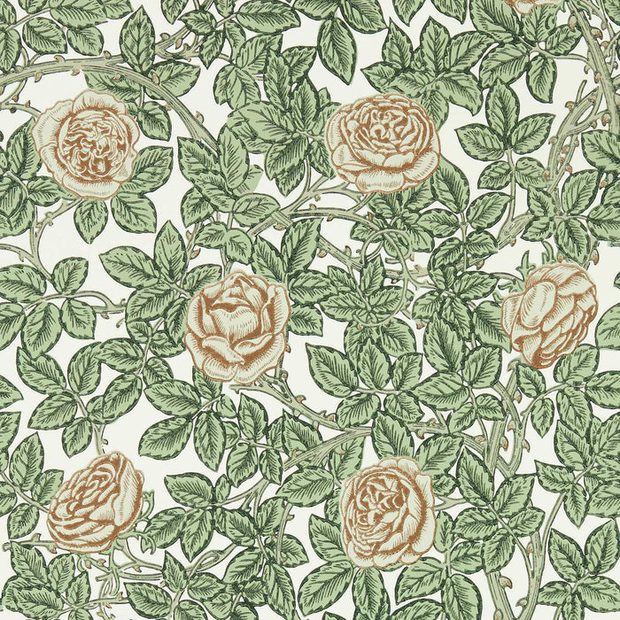 Morris & Co Rambling Rose Leafy Arbour/Pearwood Wallpaper MEWW217208